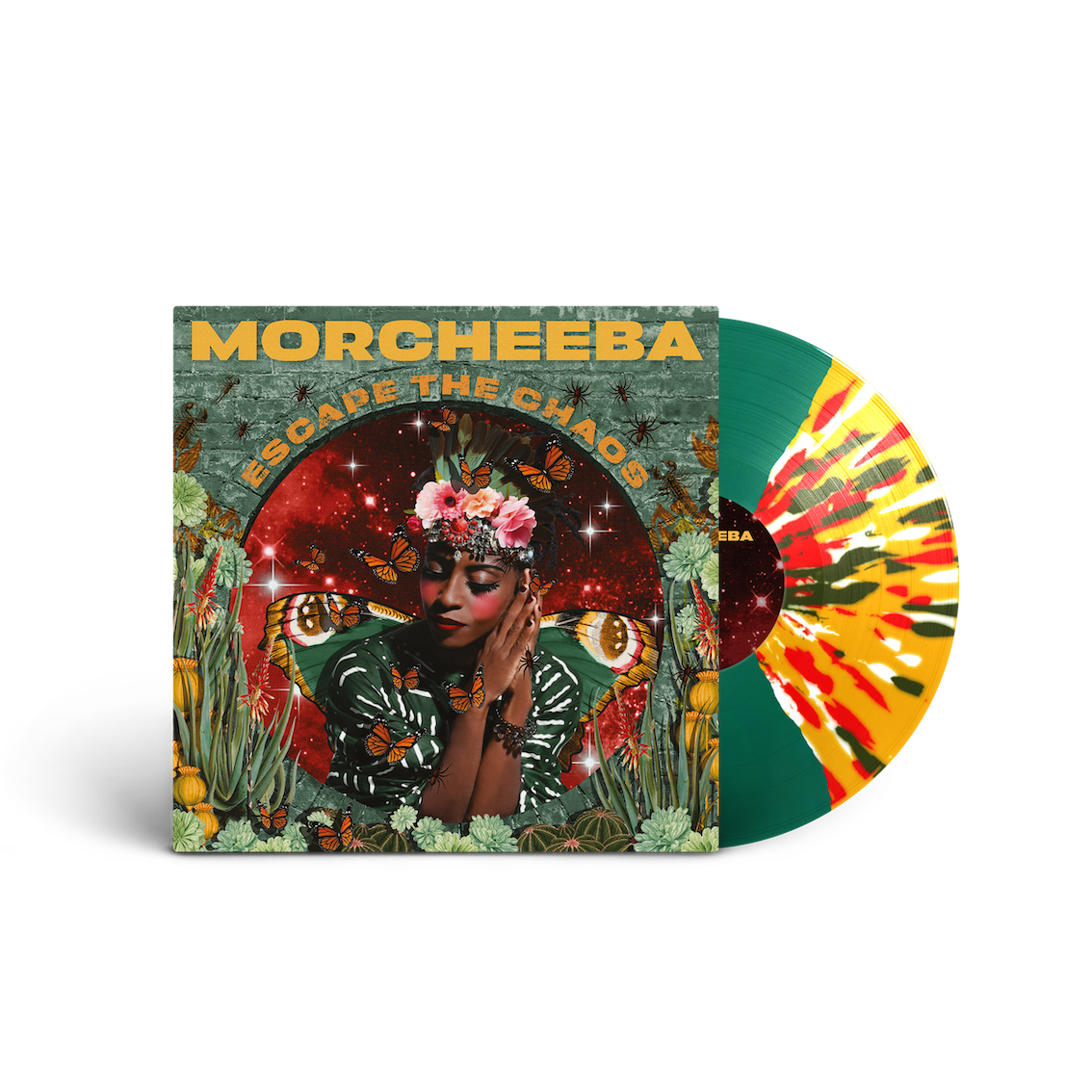 First Edition LP (Signed, Numbered, Limited Butterfly Vinyl)