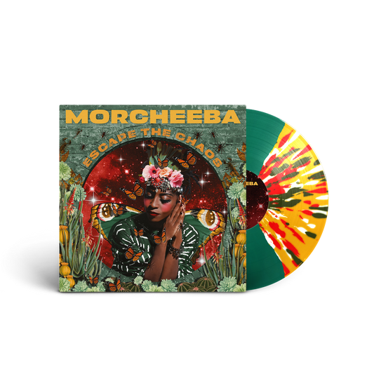 First Edition LP (Signed, Numbered, Limited Butterfly Vinyl)